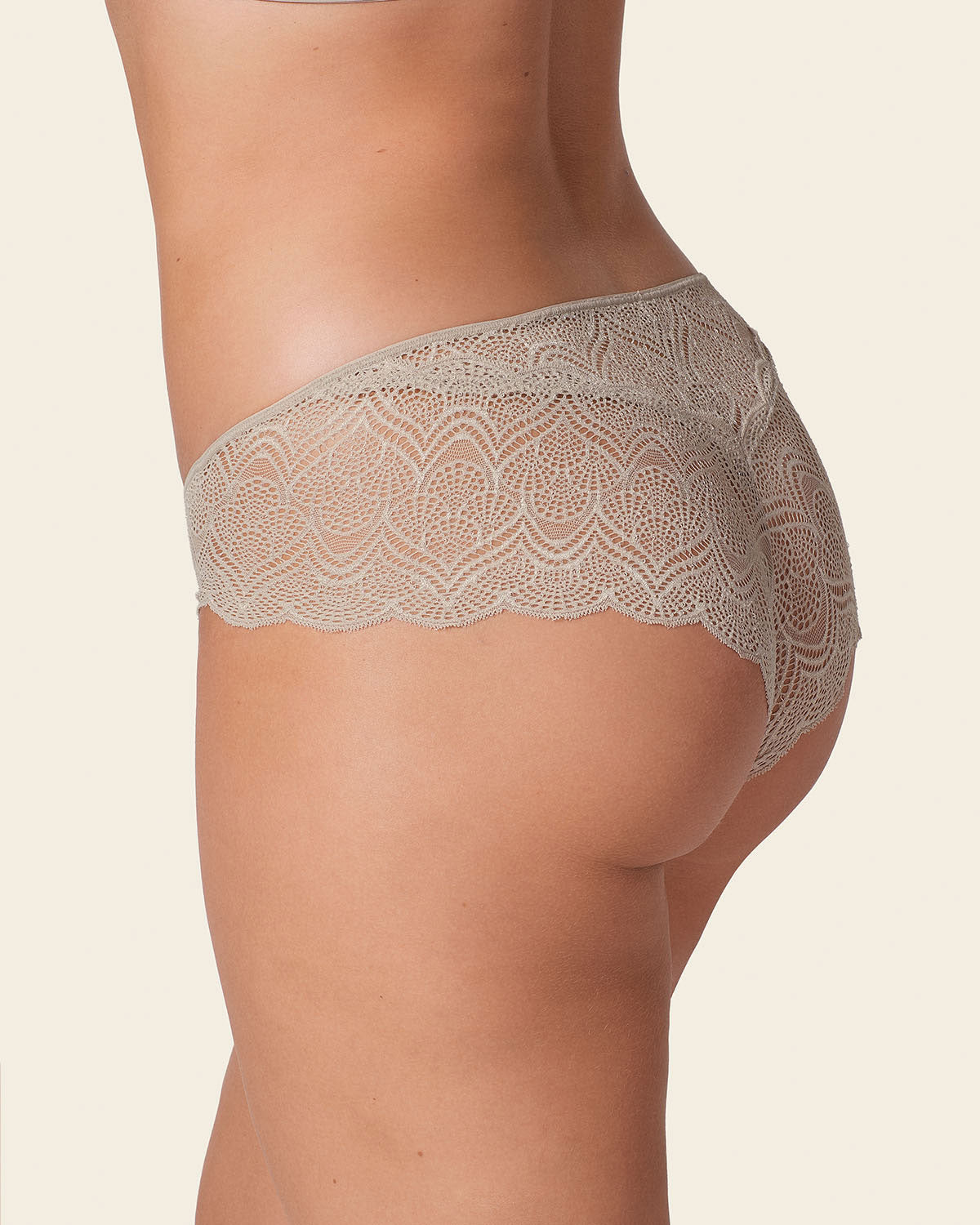 Half-And-Half Sheer Lace Cheeky Hipster Panty